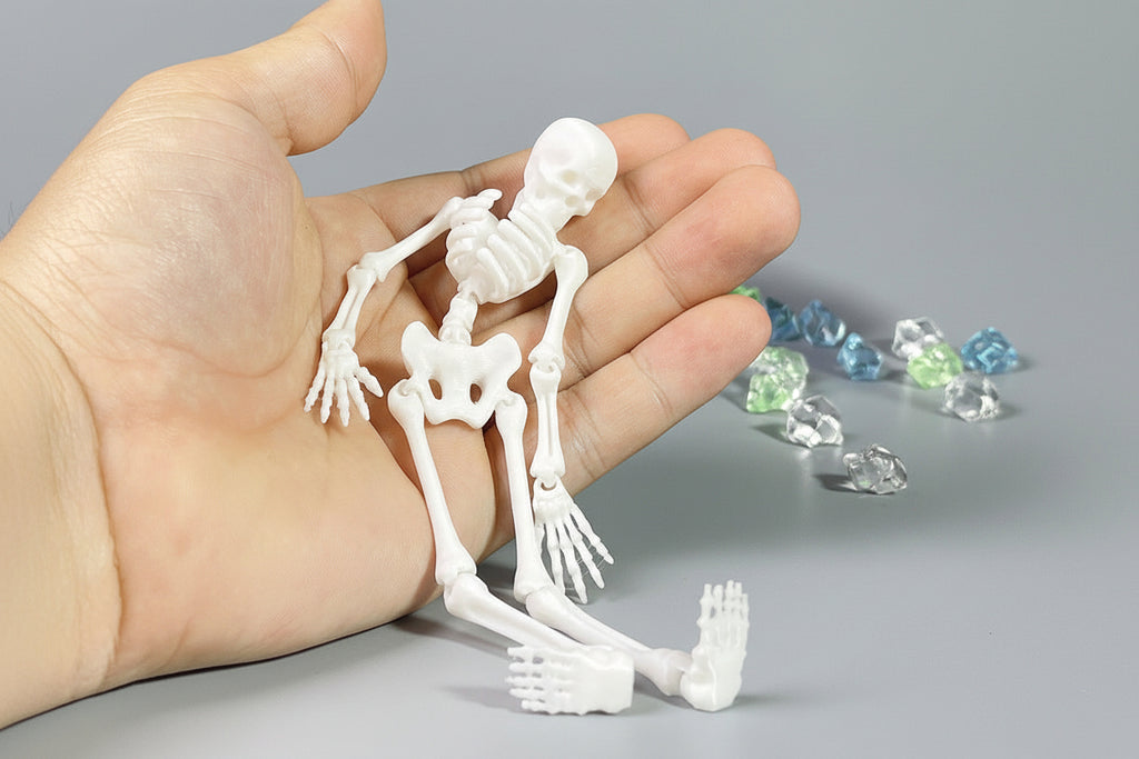 Small model skeleton held in a hand with text 'Preferred Materials' on a gray background